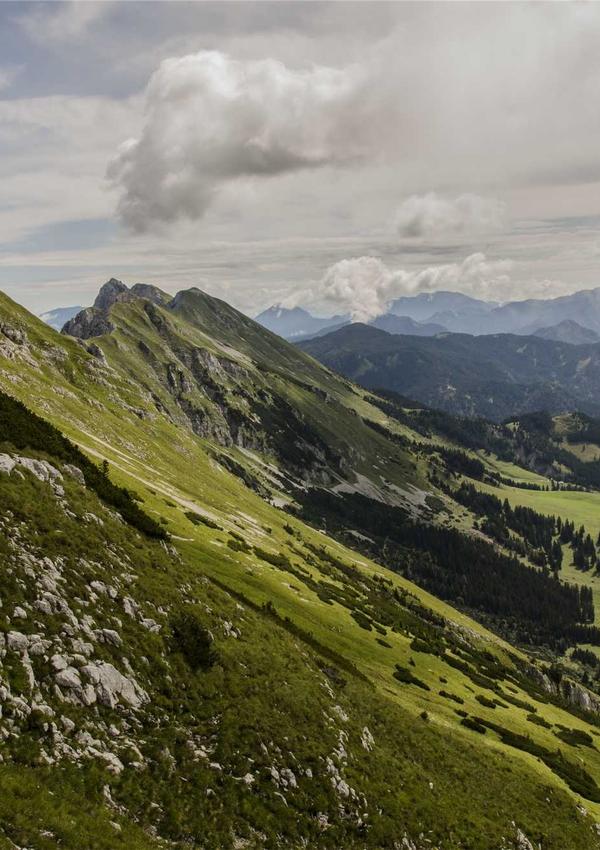 风景画《山间秋色》描绘秋天山林的丰富色彩层次