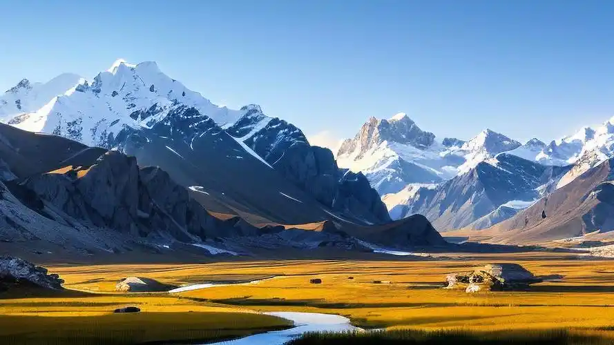 画家在工作室创作的工作照，展示艺术创作环境